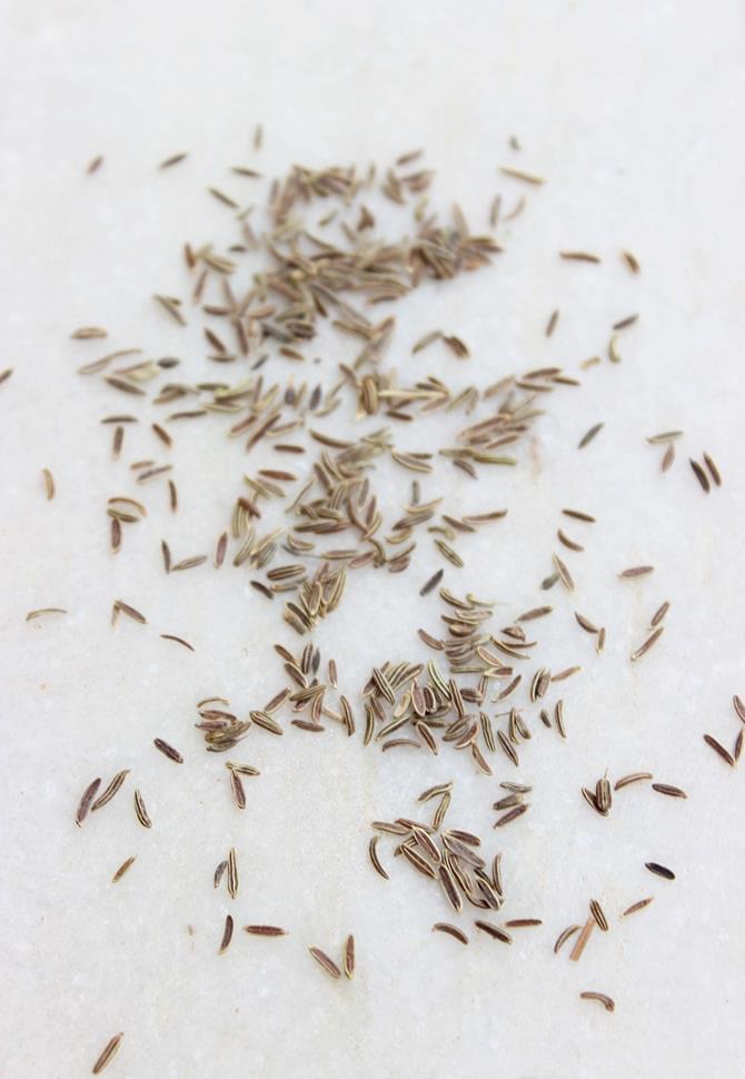 shahi jeera cumin for making homemade garam masala
