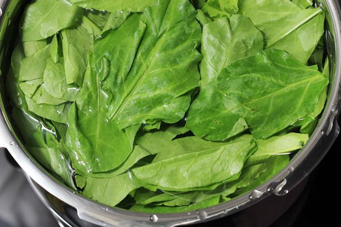 rinsing spinach