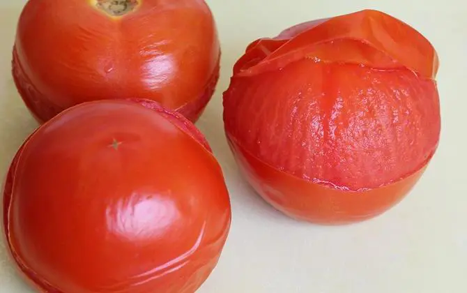 peeling skin chopping veggies for tomato curry recipe