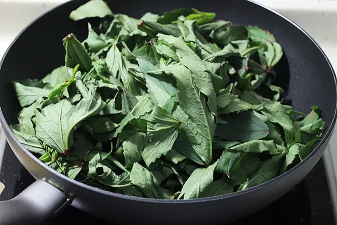 adding wilted leaves to make gongura pachadi 3