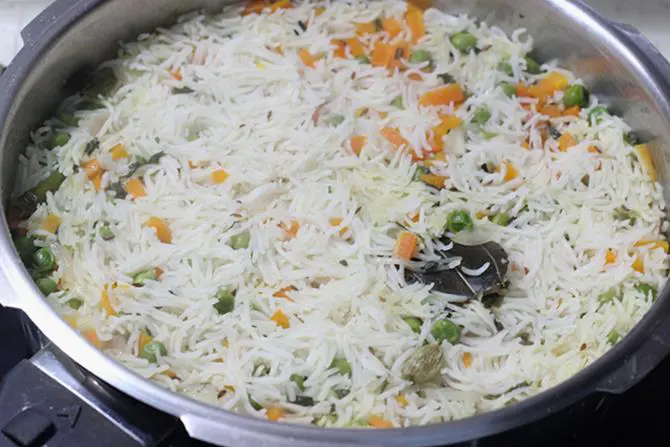 fluffed and garnished paneer pulao