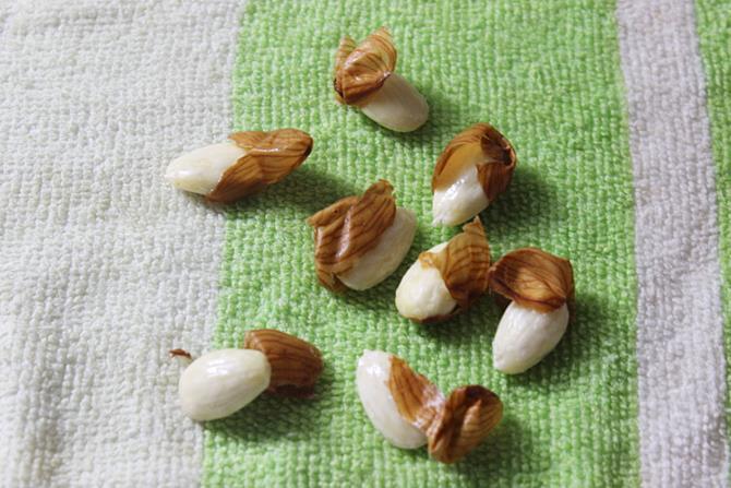 peeling skin for blanching almonds step 4