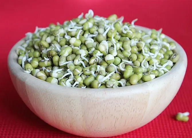 green gram sprouts