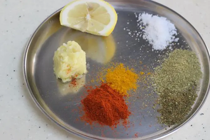 first marinade spice powders for fish fry