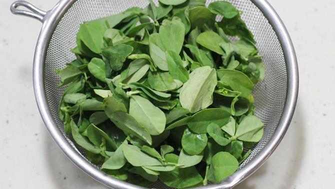 spălare methi