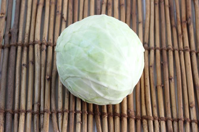 cabbage
