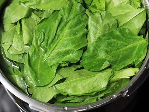 rinsing palak for hara bhara kabab