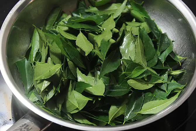 saute leaves for karivepaku podi