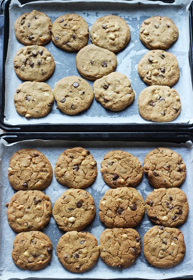 chocolate chip cookies 11