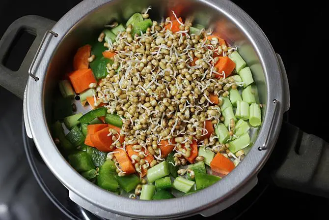 veggies in steam basket for sprouts soup