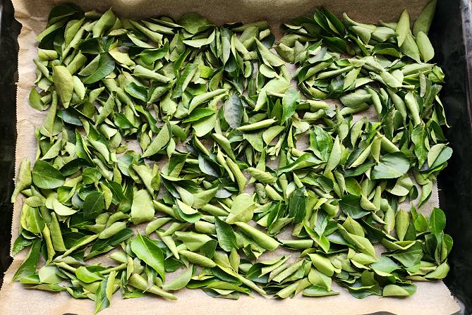 dry curry leaves