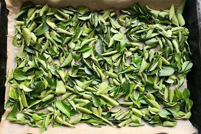 dry curry leaves