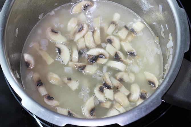 addition of water for mushroom soup recipe
