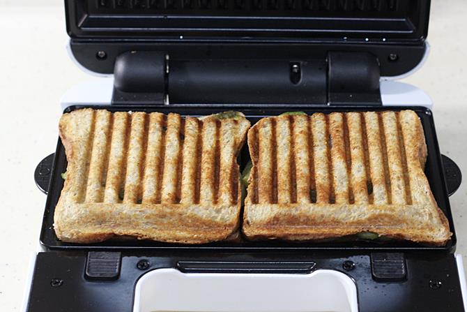 grilled sandwich