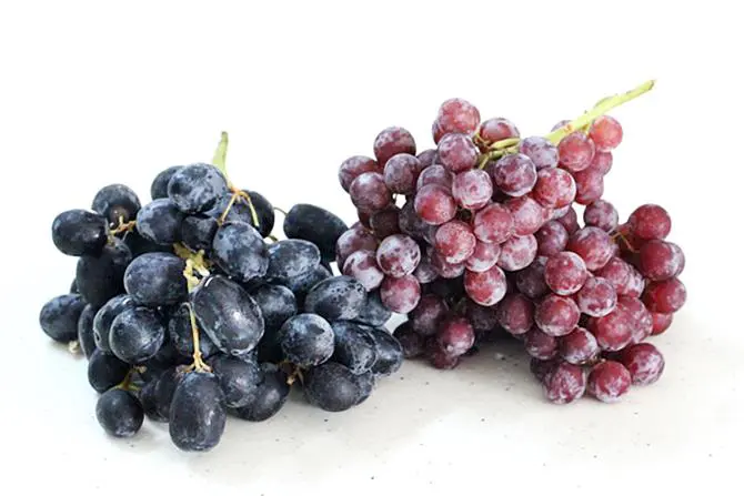 grapes