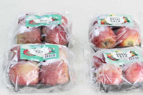 make apple juice concentrate make apple juice concentrate