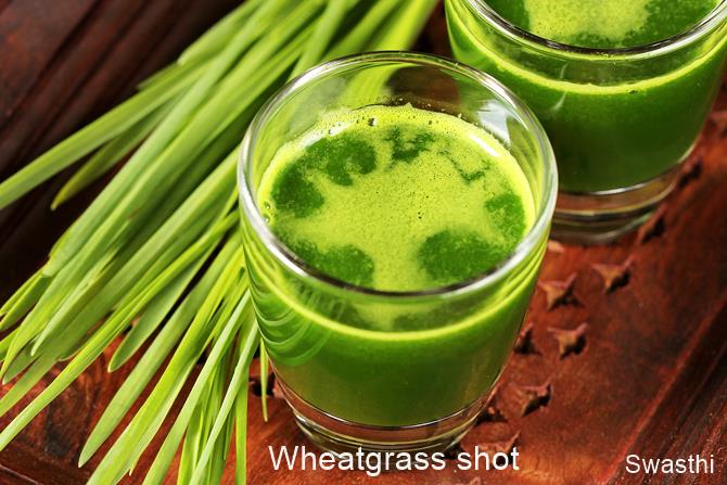 wheatgrass shot
