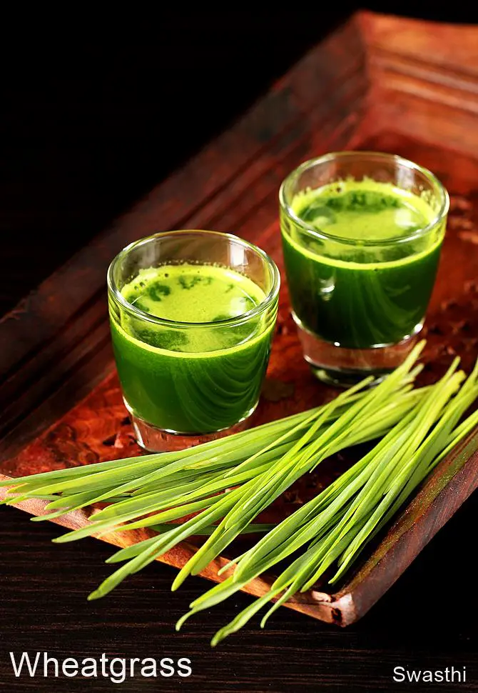 Wheatgrass Shot Recipe Swasthi S Recipes