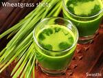 wheatgrass shot