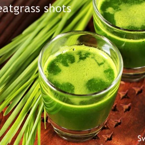 Wheatgrass Shot Recipe Bryont Blog