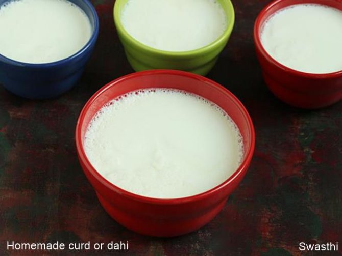 How to make curd or dahi at home Thick curd recipe Indian yogurt recipe