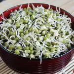 mung bean sprouts