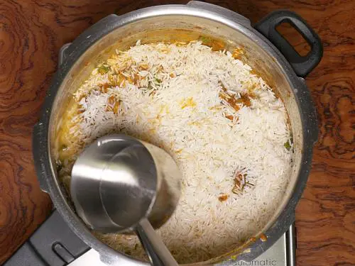 layering rice and pouring water to make chicken biryani