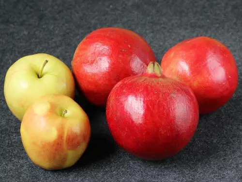 apples & pomegranate