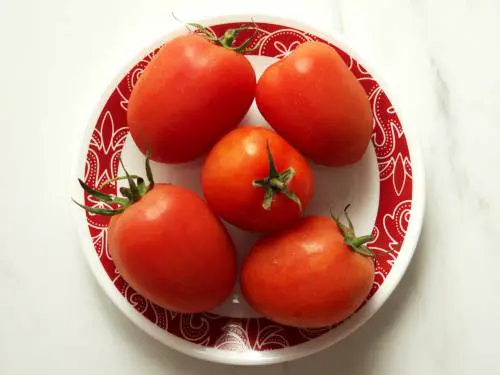 plum tomatoes to make tomato soup