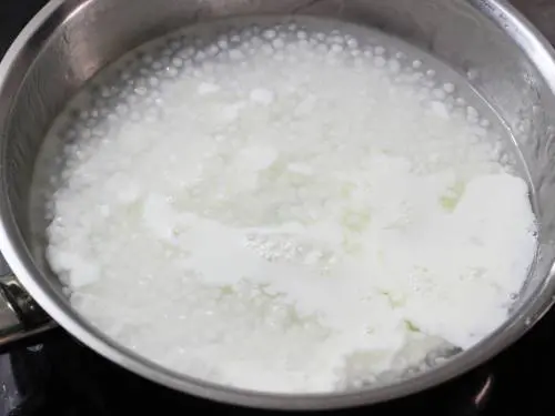 cooked sabudana with milk for sabudana kheer