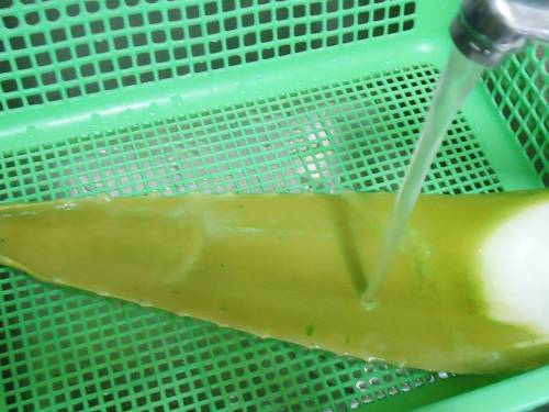 rinsing aloe vera under running water