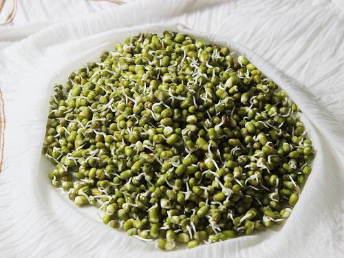 Sprouts Salad Recipe   Swasthi s Recipes - 29