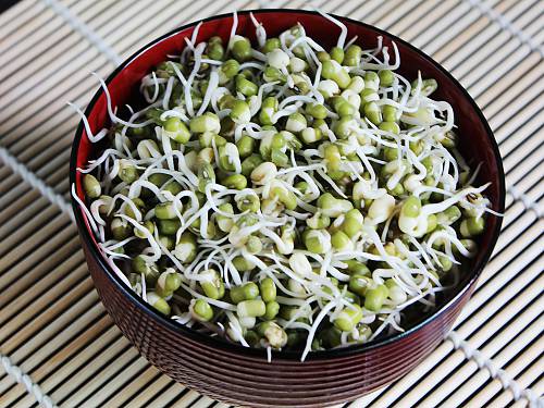 How to prepare sprouts at home? Step by step guide at Revamp Mind