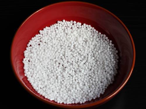 sabudana in a wide bowl