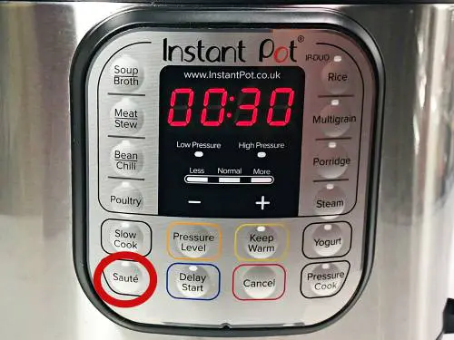 instant pot on saute mode