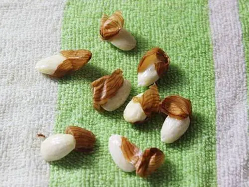 blanched almonds for powder