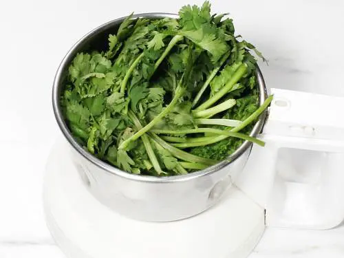 adding coriander leaves to grinder to make hara bhara kabab