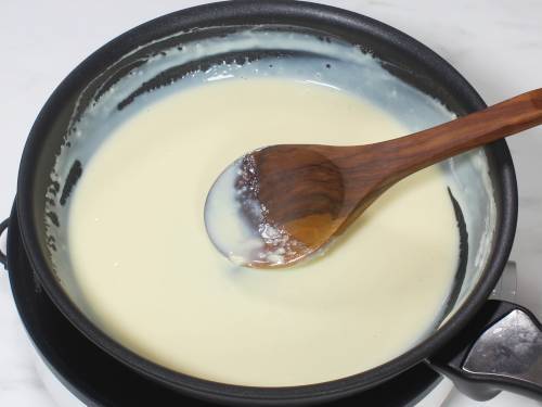 milk powder mixture to make milk peda