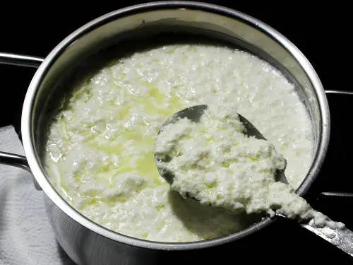 curdled milk - ricotta or chenna