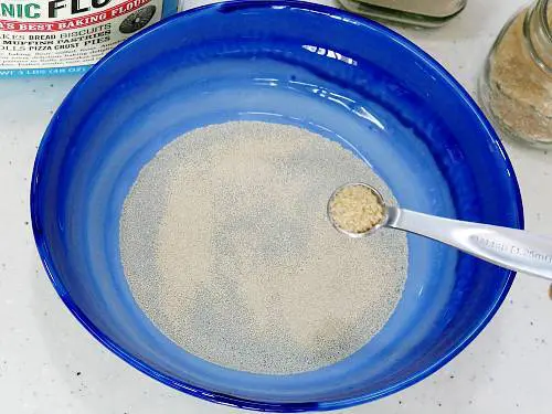 add sugar to feed yeast