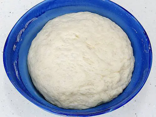 pizza dough after rising well - looks light and airy