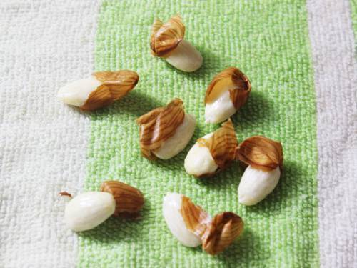 Almond yogurt recipe   How to make vegan yogurt   Swasthi s Recipes - 92