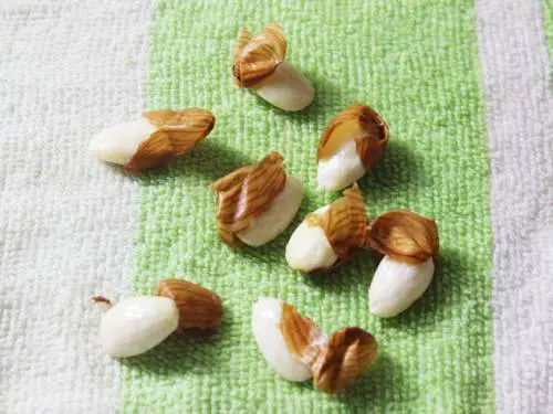 peel the almonds to make yogurt