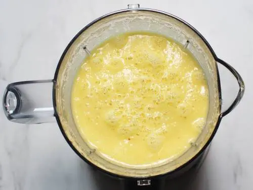 blender pineapple juice
