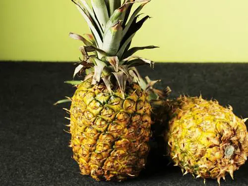 ripe pineapple to make shake