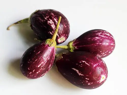 brinjal swasthis recipes