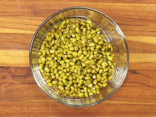 Mung Bean Sprouts  How to Grow Bean Sprouts - 29