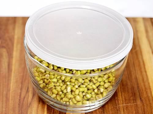 Mung Bean Sprouts  How to Grow Bean Sprouts - 53