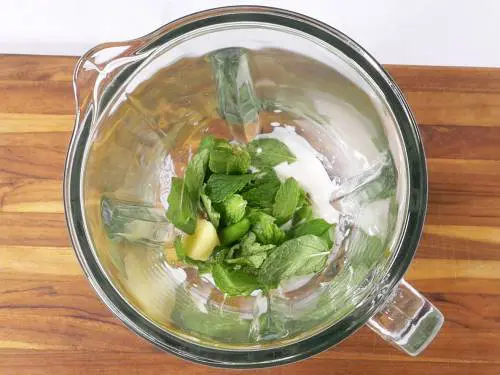 mint leaves ginger and chili in a blender