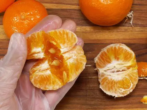 orange segments to make smoothie